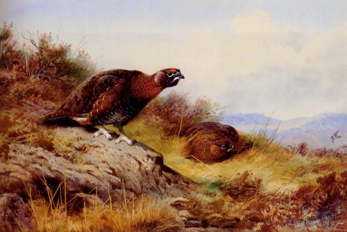 阿奇博尔德·索伯恩 的油画作品 -  《沼泽上的红松鸡》