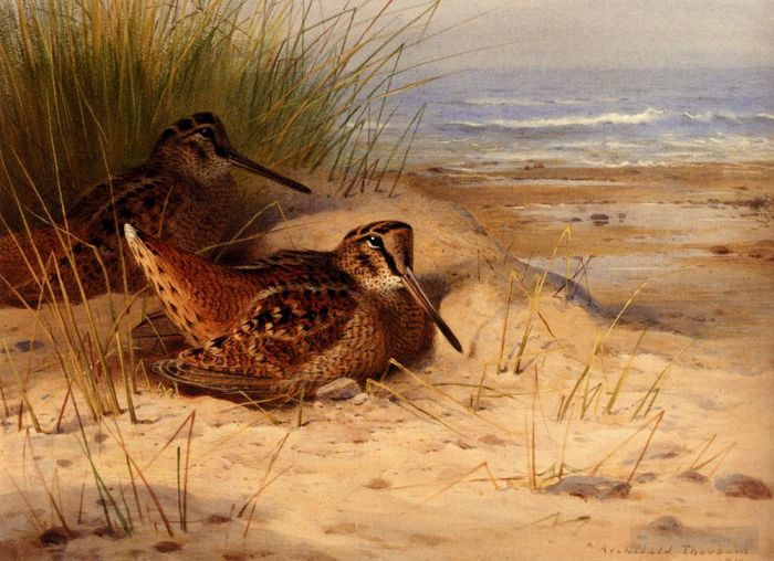 阿奇博尔德·索伯恩 的油画作品 -  《伍德科克在海滩上筑巢》