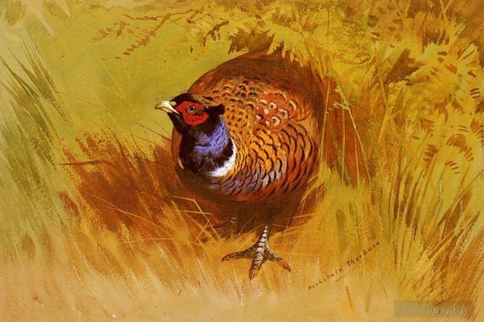 阿奇博尔德·索伯恩 的各类绘画作品 -  《一只公鸡雉鸡》