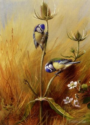 艺术家阿奇博尔德·索伯恩作品《毛草上的蓝山雀》