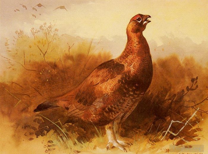阿奇博尔德·索伯恩 的各类绘画作品 -  《公鸡松鸡》