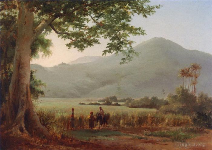 卡米耶·毕沙罗 的油画作品 -  《Antilian,景观,圣托马斯》