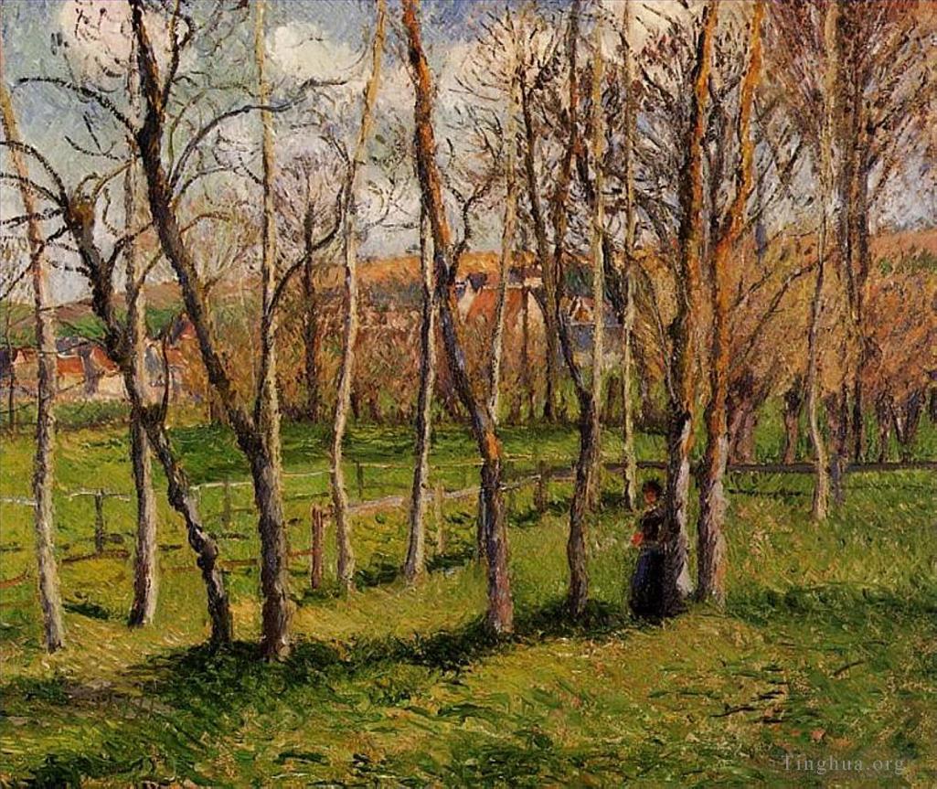 卡米耶·毕沙罗作品《巴赞库尔的草地,1885》
