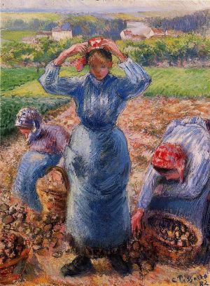 艺术家卡米耶·毕沙罗作品《农民收割土豆,1882》