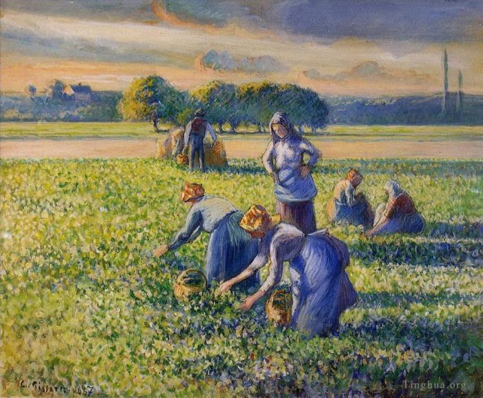 卡米耶·毕沙罗 的油画作品 -  《采摘豌豆》