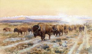 艺术家查尔斯·马里昂·拉瑟尔作品《野牛小道上的牛》