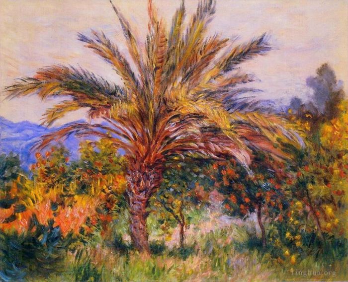克劳德·莫奈 的油画作品 -  《博尔迪盖拉的一棵棕榈树》