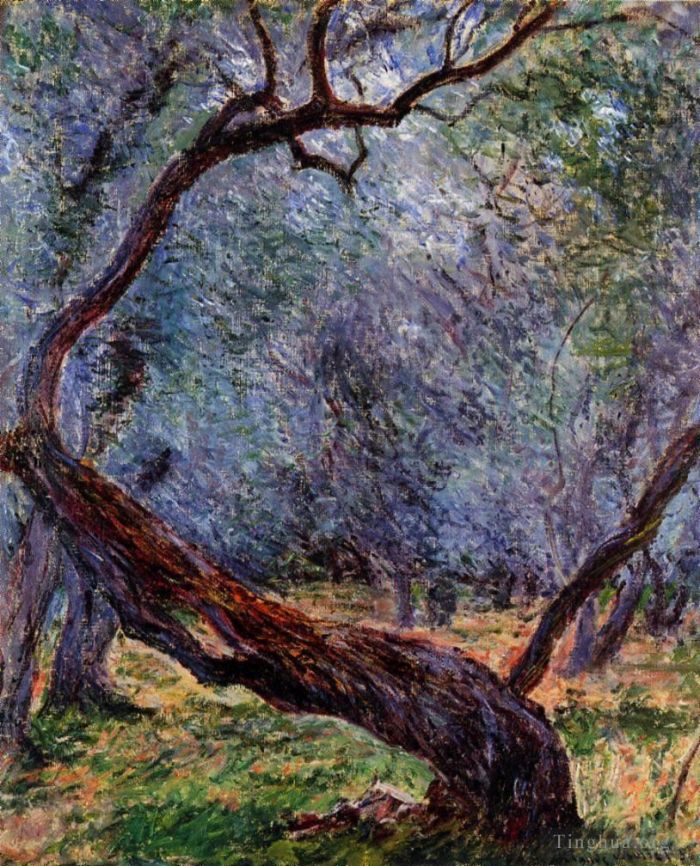 克劳德·莫奈 的油画作品 -  《橄榄树研究》