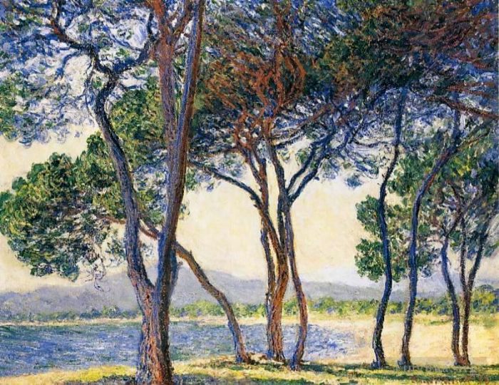 克劳德·莫奈 的油画作品 -  《安提比斯海边的树木》