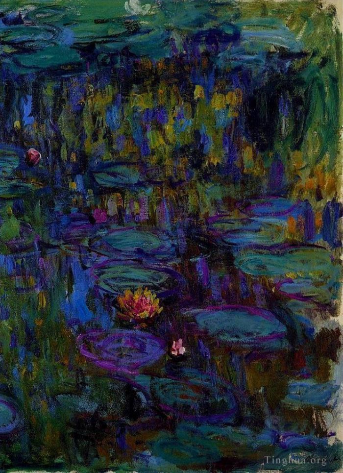 克劳德·莫奈 的油画作品 -  《睡莲,1914》