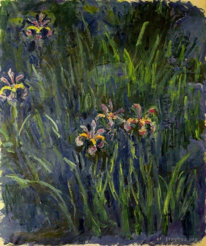 克劳德·莫奈 的各类绘画作品 -  《鸢尾花,II》