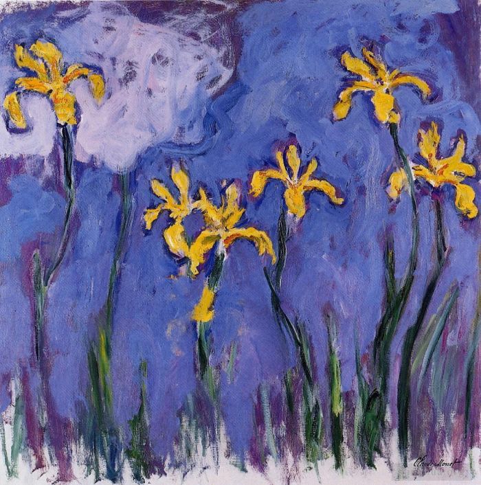 克劳德·莫奈 的各类绘画作品 -  《黄色鸢尾花与粉红云》