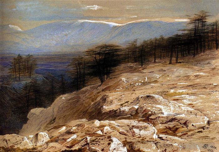 爱德华·李尔 的各类绘画作品 -  《黎巴嫩的雪松》