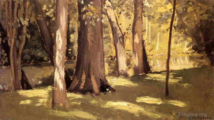 古斯塔夫·卡勒波特 的油画作品 -  《光的耶雷斯效应》