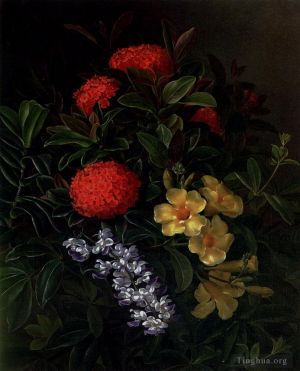 艺术家约翰·劳伦茨·延森作品《Allemanda,Ixora,和兰花》
