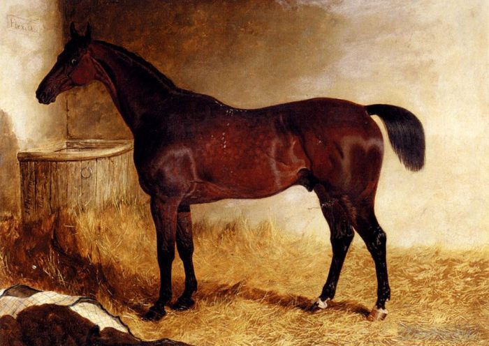 小约翰·弗雷德里克·费林 的油画作品 -  《松散盒子中灵活的栗色赛马》