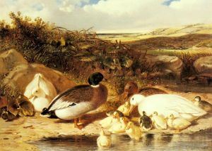 艺术家老约翰·弗雷德里克·费林作品《河上的野鸭和小鸭》