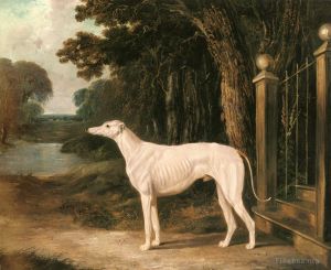 艺术家老约翰·弗雷德里克·费林作品《Vandeau,白色灵缇犬,2》