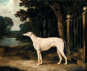 艺术家老约翰·弗雷德里克·费林作品《范多,(Vandeau),白色灵缇犬》