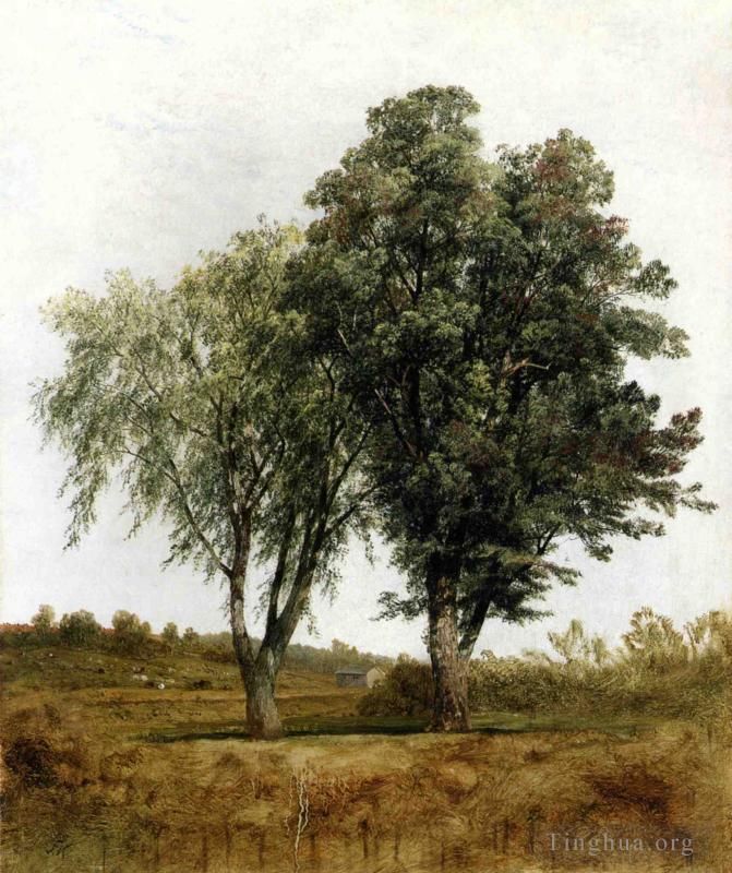 约翰·冯·肯塞特 的油画作品 -  《树木研究》
