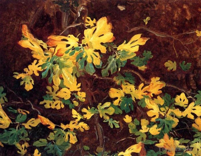 约翰·辛格·萨金特 的油画作品 -  《无花果树的研究》
