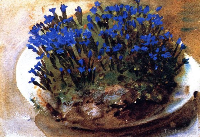 约翰·辛格·萨金特 的各类绘画作品 -  《蓝色龙胆》