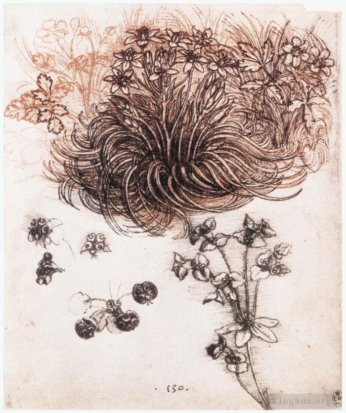 列奥纳多·达·芬奇 的各类绘画作品 -  《伯利恒之星和其他植物》