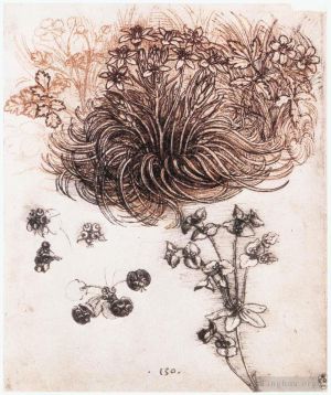 艺术家列奥纳多·达·芬奇作品《伯利恒之星和其他植物》