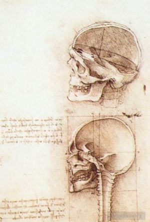 艺术家列奥纳多·达·芬奇作品《人类头骨的研究》