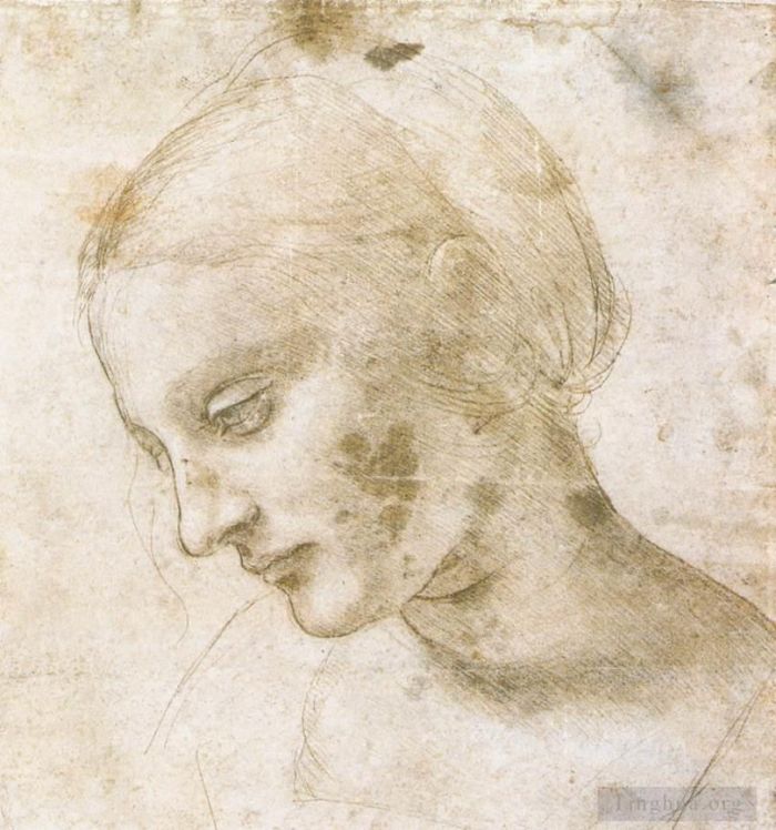 列奥纳多·达·芬奇 的各类绘画作品 -  《对女性头部的研究》