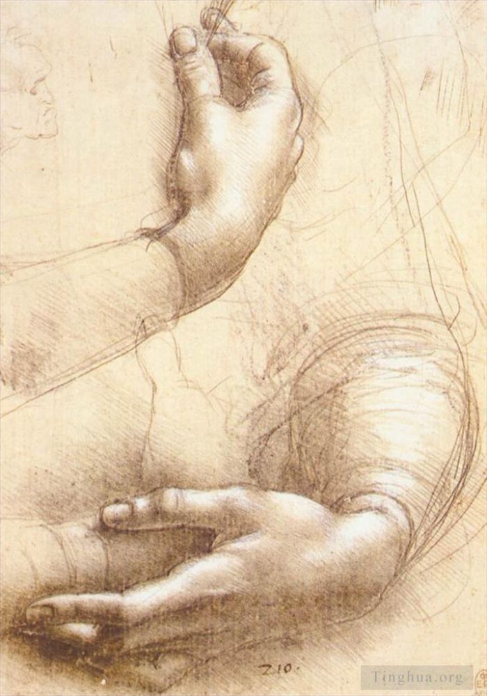 列奥纳多·达·芬奇 的各类绘画作品 -  《手的研究》
