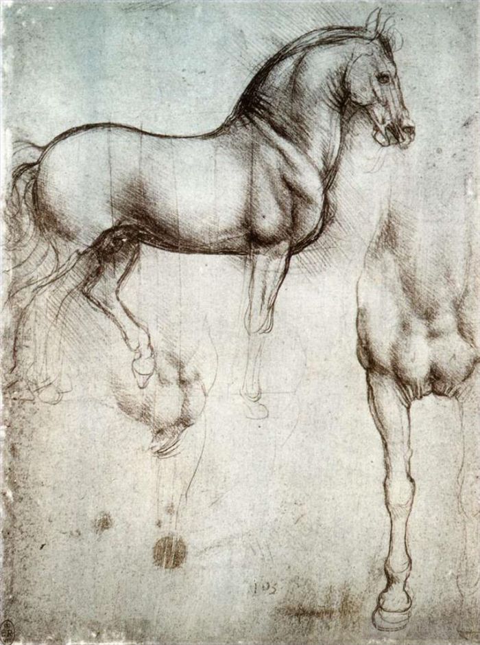 列奥纳多·达·芬奇 的各类绘画作品 -  《马的研究》
