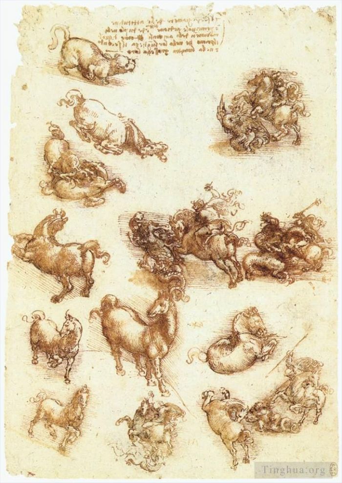 列奥纳多·达·芬奇 的各类绘画作品 -  《马和龙的学习表》