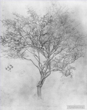 艺术家弗雷德里克·莱顿爵士作品《柠檬树的研究》