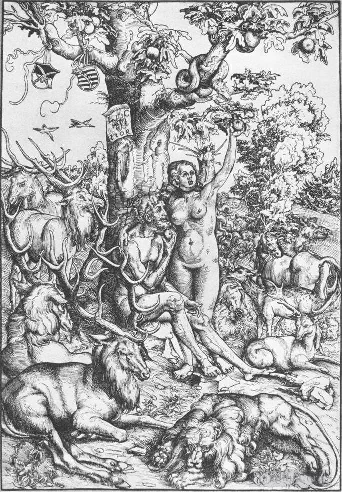 老卢卡斯·克拉纳赫 的各类绘画作品 -  《亚当和夏娃,1509》