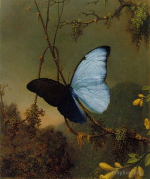 艺术家马丁·约翰逊·赫德作品《蓝色大闪蝶》