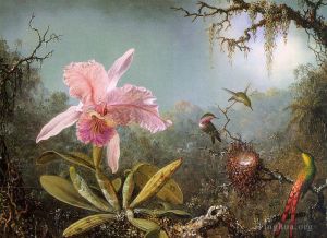 艺术家马丁·约翰逊·赫德作品《卡特利亚兰花和三只巴西蜂鸟》