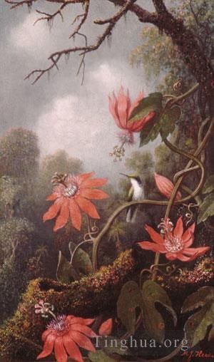 艺术家马丁·约翰逊·赫德作品《蜂鸟和西番莲》
