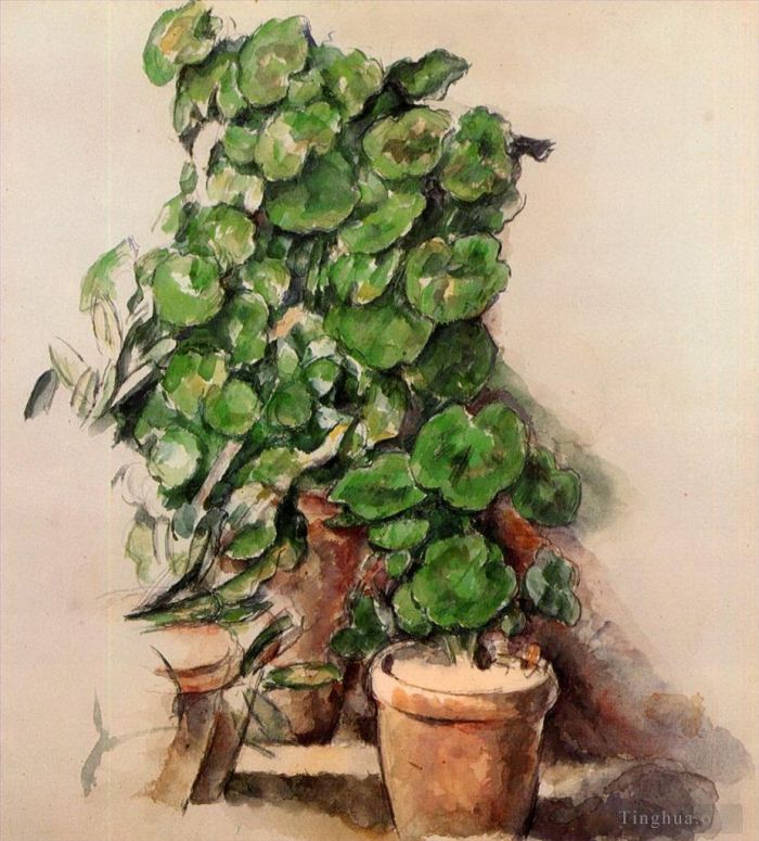 保罗·塞尚 的各类绘画作品 -  《天竺葵盆》