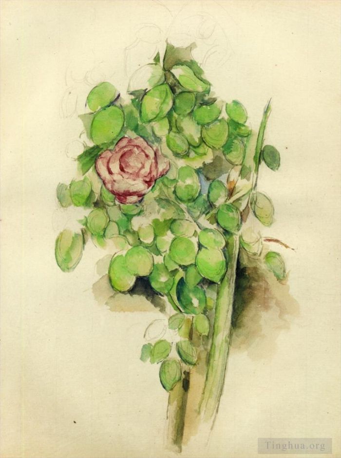 保罗·塞尚 的各类绘画作品 -  《玫瑰丛》