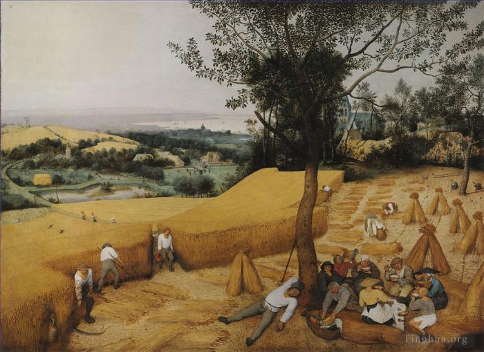 老彼得·勃鲁盖尔 的油画作品 -  《收割者》