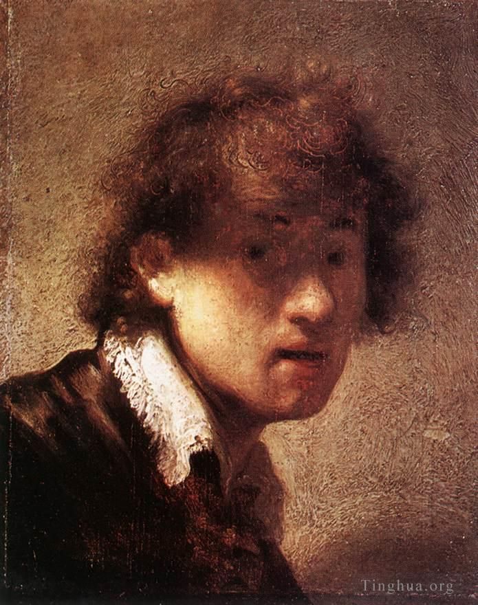 伦勃朗·范·莱因 的油画作品 -  《自画像,1629》