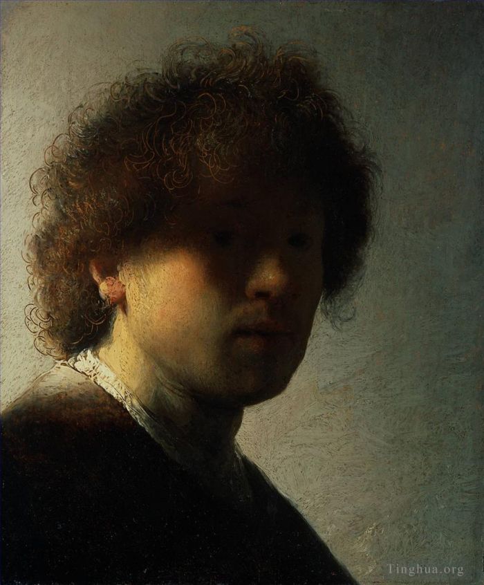 伦勃朗·范·莱因 的油画作品 -  《早年自画像,1628》