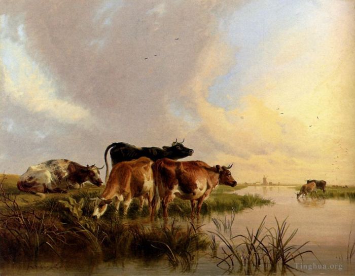 托马斯·辛德尼·库珀 的油画作品 -  《牛饮水》