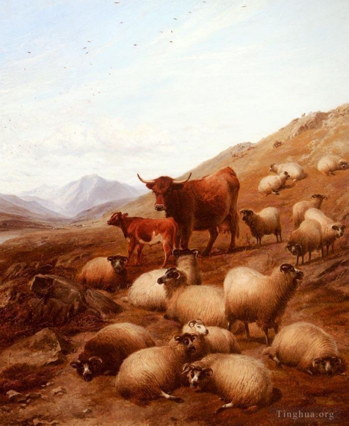 托马斯·辛德尼·库珀 的油画作品 -  《在高地牛》
