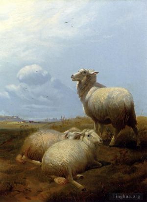 艺术家托马斯·辛德尼·库珀作品《羊在牧场》