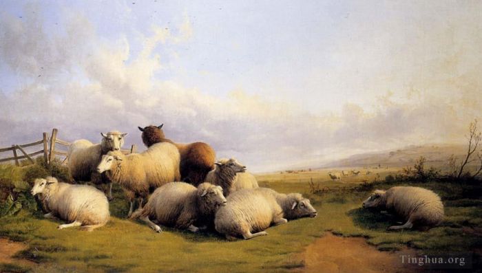 托马斯·辛德尼·库珀 的油画作品 -  《广阔风景中的羊》
