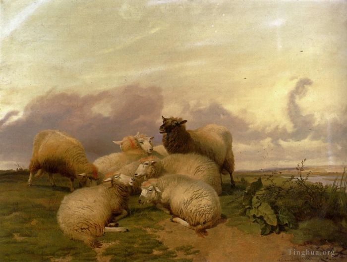 托马斯·辛德尼·库珀 的油画作品 -  《坎特伯雷水草甸的羊》