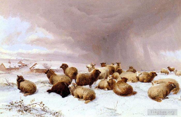托马斯·辛德尼·库珀 的油画作品 -  《冬天的羊》
