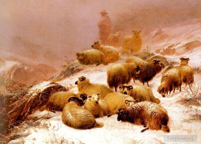 托马斯·辛德尼·库珀 的油画作品 -  《冬天的寒冷,羊》